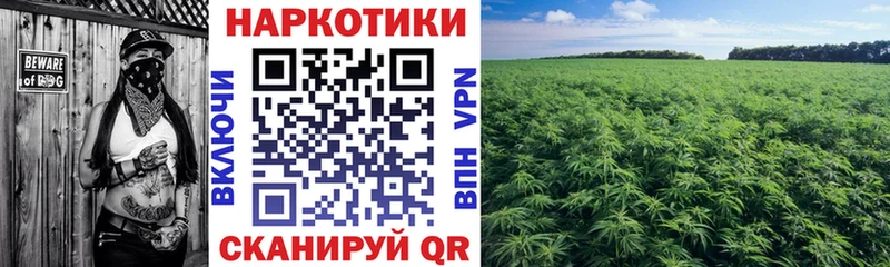 Купить наркоту Александровск Марихуана  COCAIN  ГАШ  ОМГ ОМГ как зайти  Меф мяу мяу 