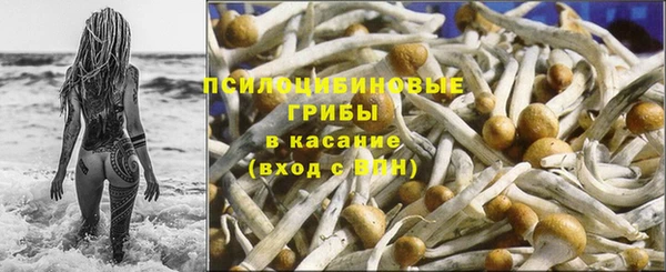 соль ск Абинск