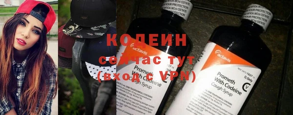 гидра Каменногорск