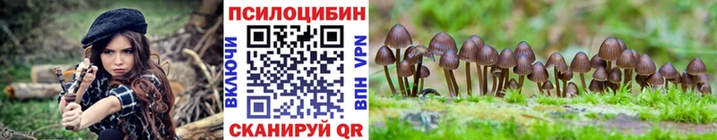 цена наркотик  Александровск  Галлюциногенные грибы GOLDEN TEACHER 
